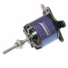 Dynam Brushless Motor Kv1100 (Cat)